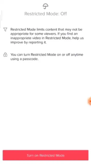 Parental Control System of TikTok